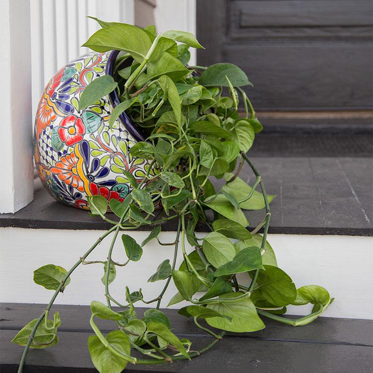 Talavera Planters Collection Talavera Sideways Planter TP335