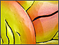 View Detail