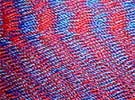Red and Blue Hammock