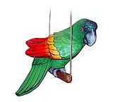 Parrot on Perch