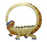 Gold Iguana Mirror