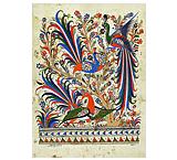 Birds of Paradise