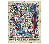 Birds of Paradise