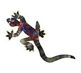 Climbing Gecko