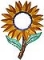 Sunflower Mirror