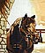 Caballo Extraordinario