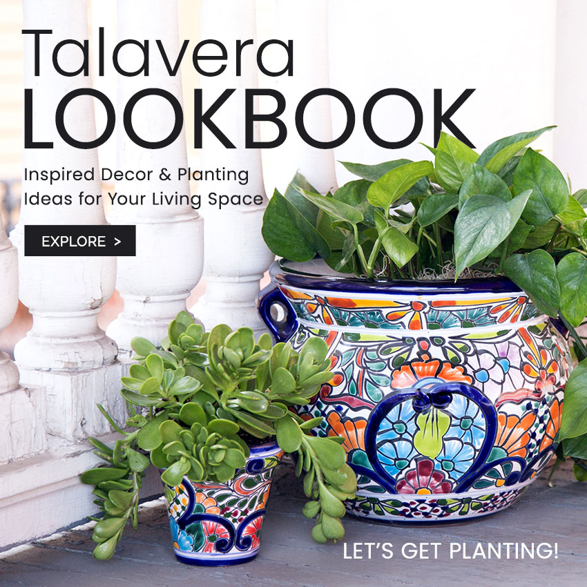 Talavera Lookbook - Inspired Decor & Planting Ideas for Your Living Space