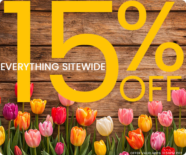 15% Off Everything Sitewide