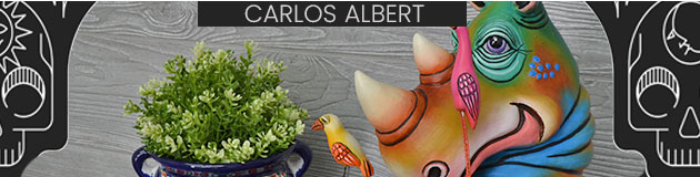 Carlos Albert