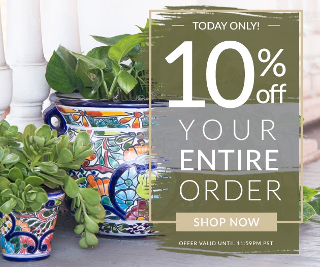 10% Off All Orders