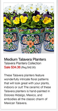 Medium Talavera Planters