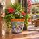 Mexican Talavera planter (TP430) displayed with green foliage and colorful flowers.
