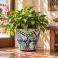 Hand-painted Mexican Talavera planter (TP435) with green foliage.
