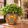 Medium Talavera planter (TP250B), handcrafted in Mexico, shown with green foliage.