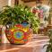 Large Mexican Talavera planter (TP250A) planted shown with leafy green plants.