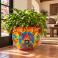 Colorful medium Mexican Talavera planter (TP250B) shown with leafy green plants.