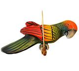 Red-Crowned Parrot on Perch