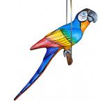 Blue Macaw on Perch