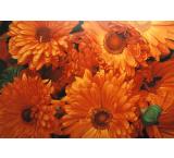 Orange Mums Oil Painting on Canvas