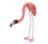 Crouching Flamingow/ Glossy Finish