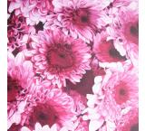 Chrysanthemums  Oil Painting on Canvas