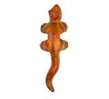 Red Salamander