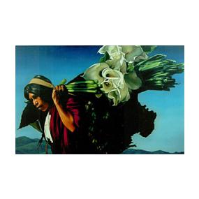 Indigena con Alcatraces Oil Painting on Canvas