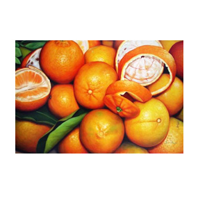 Orange HarvestOil Painting on Canvas
