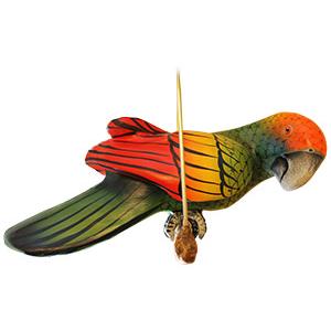 Red-Crowned Parrot on Perch