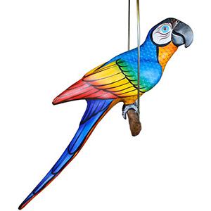 Blue Macaw on Perch