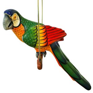 Green Macaw on Perch