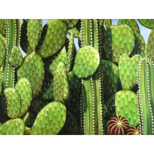 Cactus GardenOil Painting on Canvas