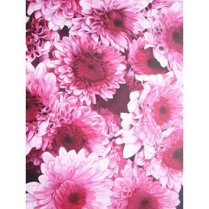 Chrysanthemums Oil Painting on Canvas