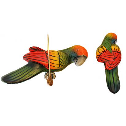 Red-Crowned Parrot on Perch