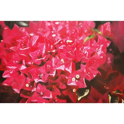 Bougainvillea Oil Painting on Canvas