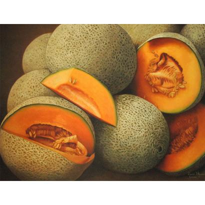 Cantaloupe Oil Painting on Canvas