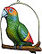 Parrot on Perch