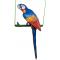 Fino Quality XL Blue Macaw on Perch
