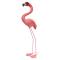 Medium Standing Flamingo