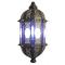 Fiesta Wall Sconce w/Frosted Glass