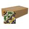 Talavera Tile - Pack of 45